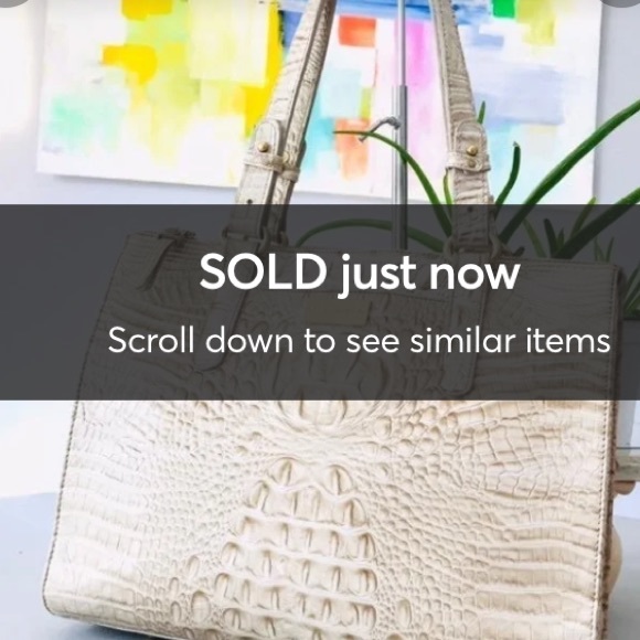 ❌SOLD❌ BRAHMIN Medium Camille Tote - Picture 16 of 16